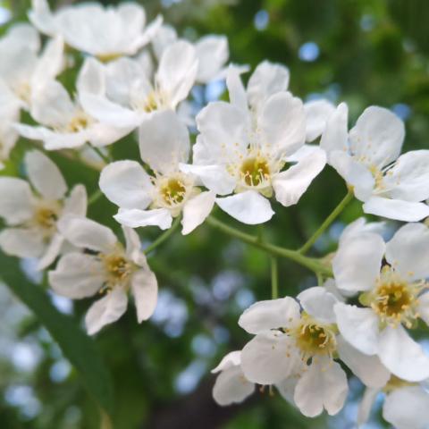 水瓶倒尿呲谁谁叫