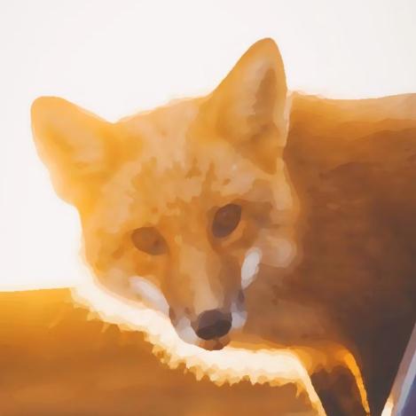 三十年莱斯特城球迷