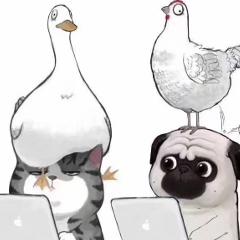 不吃猫的大鲨鱼