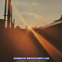 阳光灿烂的小狗