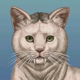 剑齿猫de动物志