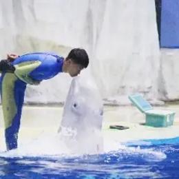 大白投喂员本人