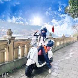 杨美丽的流浪记