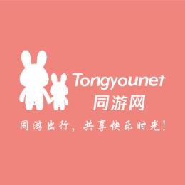 同游网文旅