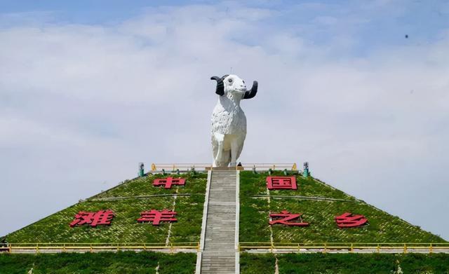 宁夏盐池滩羊国宴图片