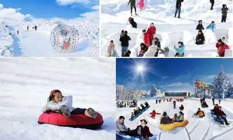 杨家寨滑雪场的门票图片