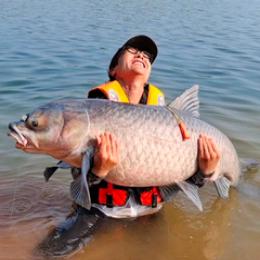龙飞的渔乐江湖