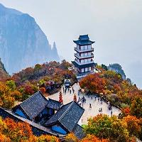 郑州皮皮林文化