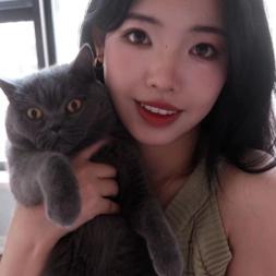 不可思议的抹茶酱