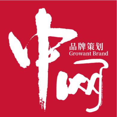 中网B2B战略咨询