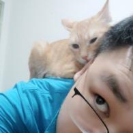 布拉德的梦幻实验室