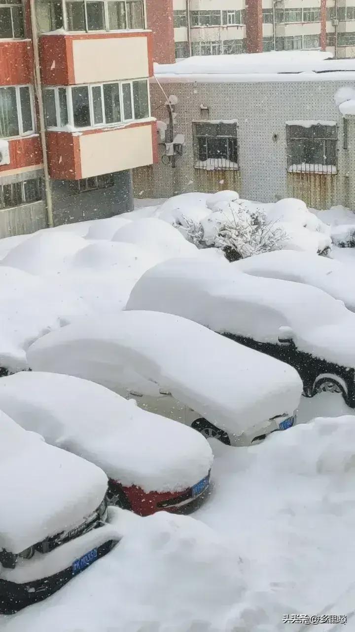 威海雪灾图片