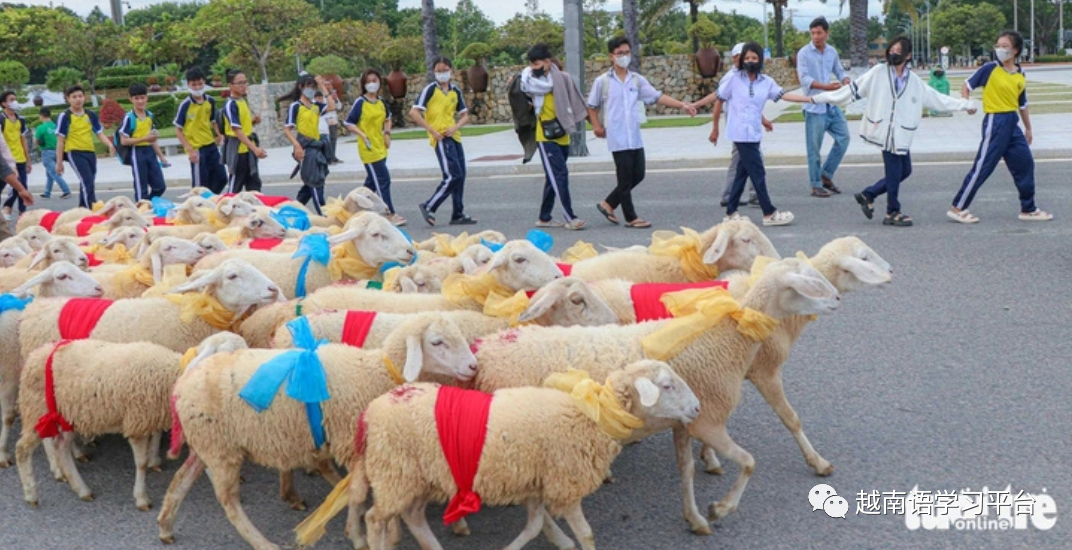 宁顺省图片