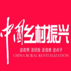 中国乡村振兴