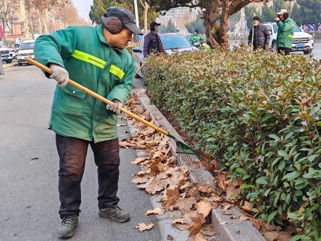 商丘市园林绿化部门工作人员在睢阳大道两侧绿化带内清理枯枝烂叶