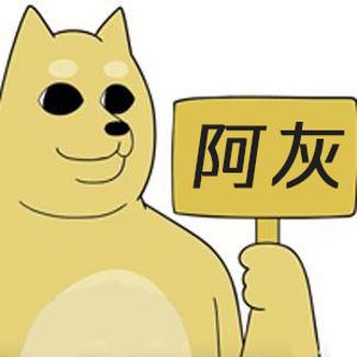 联盟进化史阿灰