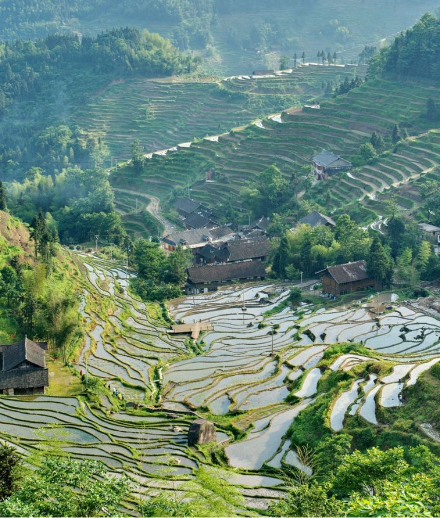 走在紫鹊界梯田景区