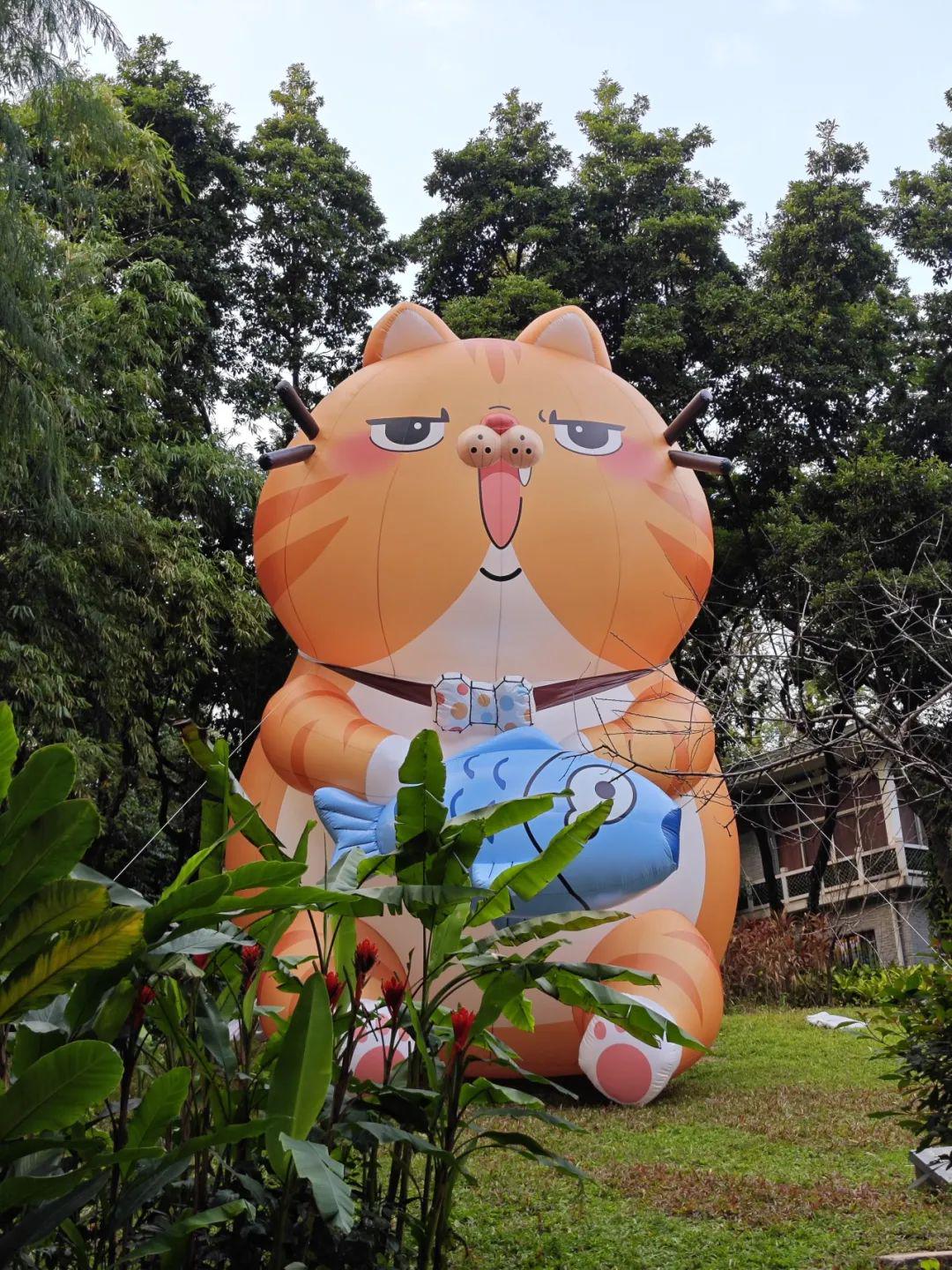 花果山大橘图片