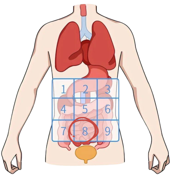下腹部疼痛