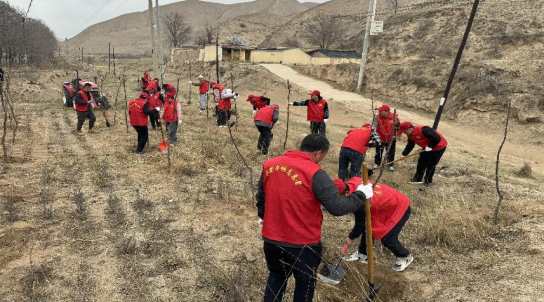 永登县七山乡:最是一年春光好 植树添绿正当时