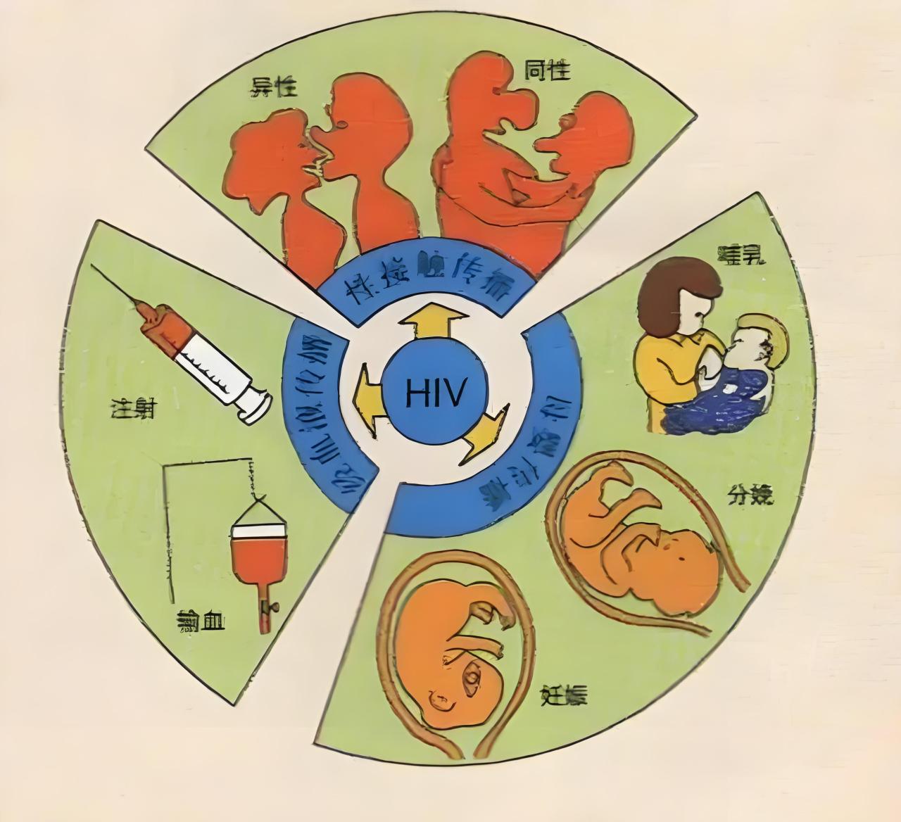 艾滋病病毒图片侵入图片