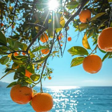 橘子老师爱知识