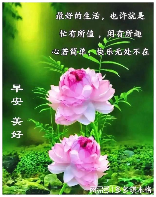 早上好清新鲜花图片