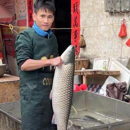 阿乐呀