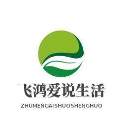 飞鸿爱说生活