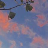 公有云等保吉祥