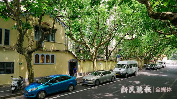 跟着“神仙姐姐”兜马路！《玫瑰的故事》上海取景地大合集 ｜周末去哪儿-风君娱乐新闻