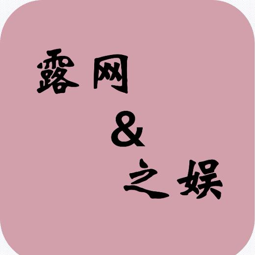 露网之娱
