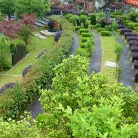 选墓讲解刘老师