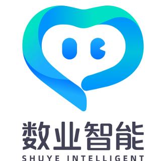 数业智能心大陆