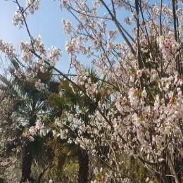 生活还是简单点好