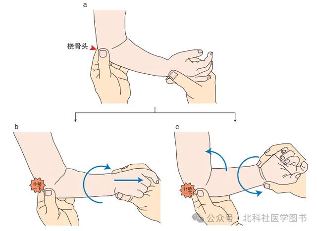 新生儿上肢屈曲图片图片