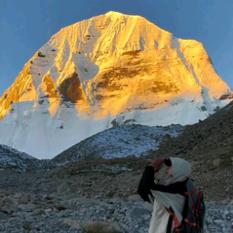 小冰的流浪生活