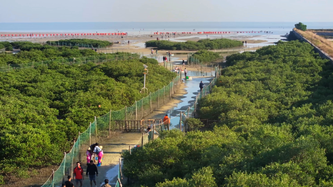 纪录片《航拍海岸线》第二集“北海”篇明天上线