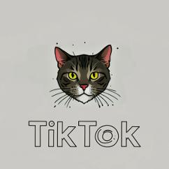 大猫TK跨境日常