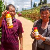 高耐活极地海洋菌