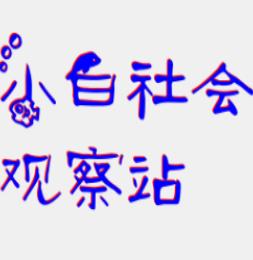 小白社会观察站
