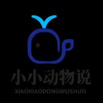 小小动物说