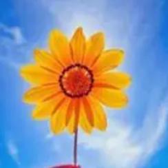 艾堡森新材料宋