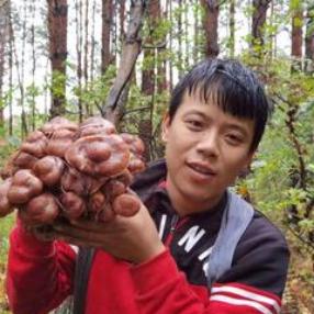 一宁百变农村秀