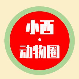 小西动物圈
