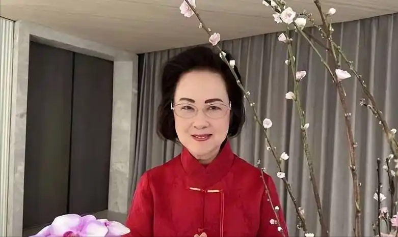 儿媳为琼瑶出气！何秀琼的漂亮反击，一招让平鑫涛子女无法再吸血-风君娱乐新闻