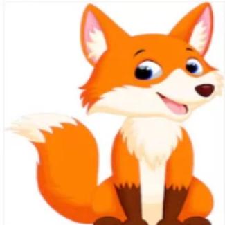 狐狸先森讲升学规划