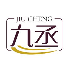 九丞智能科技气象监测