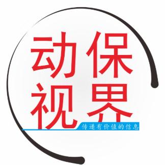 动保视界