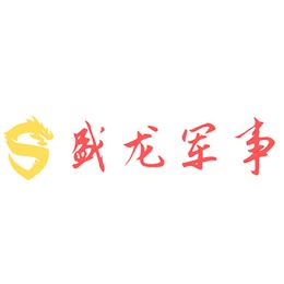 盛龙军事